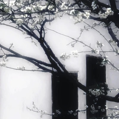 2026图片大全好看背景头像