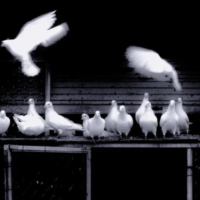 2026图片大全好看背景头像