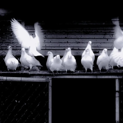 2026图片大全好看背景头像