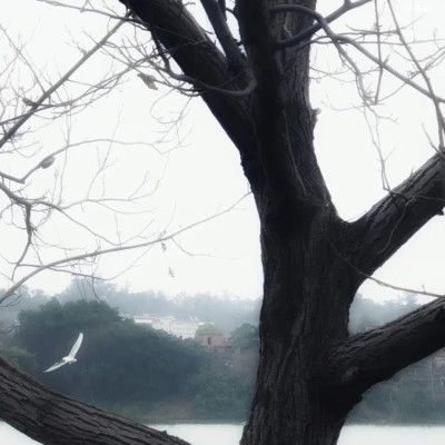 2026图片大全好看背景头像