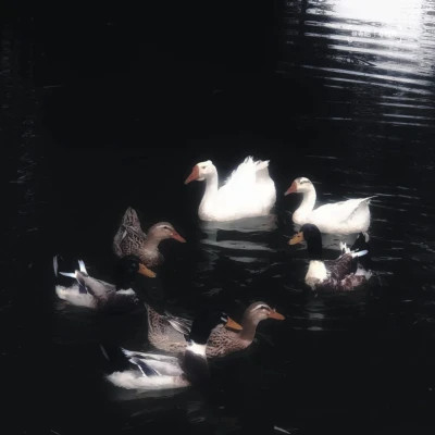 2026图片大全好看背景头像