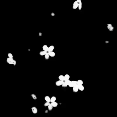 2026图片大全好看背景头像