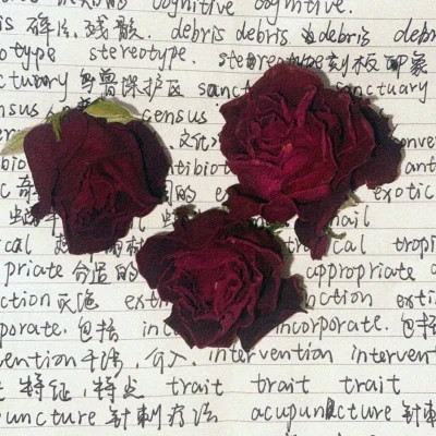 2025最火壁纸图片头像