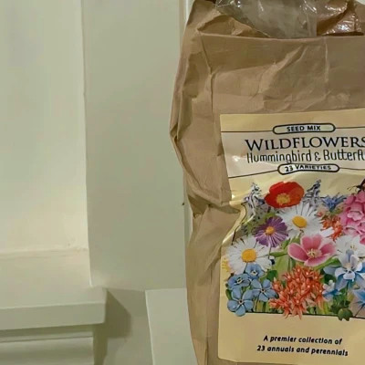 2025最火壁纸图片头像