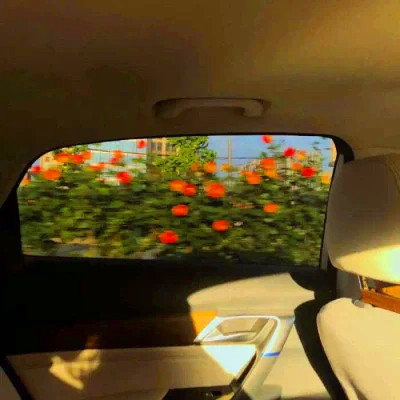 2026年最新背景图片头像