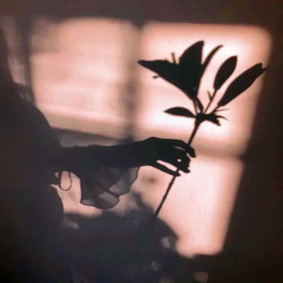 2026年最新背景图片头像