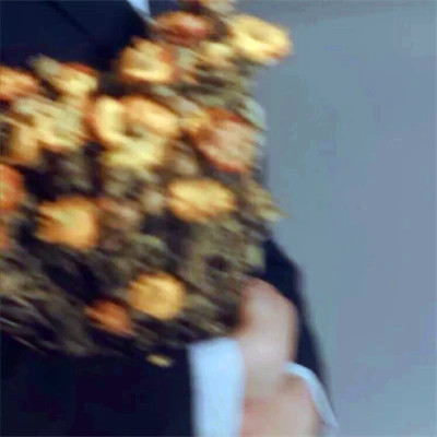 2026年最新背景图片头像