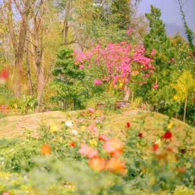 2026年最新背景图片头像