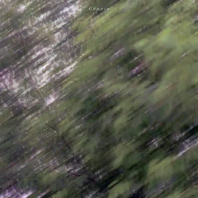 2026年最新背景图片头像