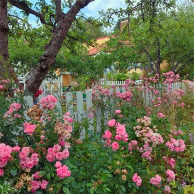 2026年最新背景图片头像