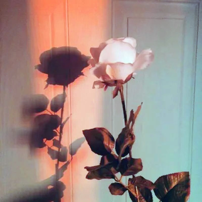 2026年最新背景图片头像