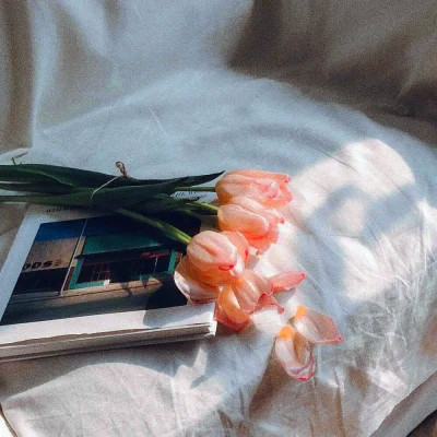 2026年最新背景图片头像