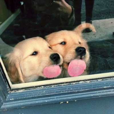 2026年最新背景图片头像