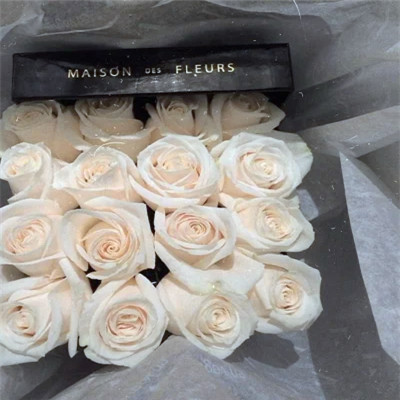 2026年最新背景图片头像