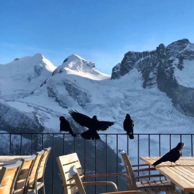 2026网络最火背景图片与头像