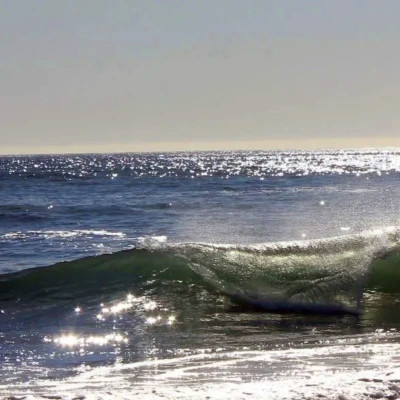 2026网络最火背景图片与头像