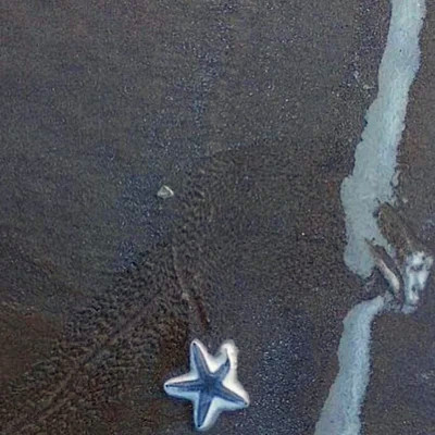 2026网络最火背景图片与头像