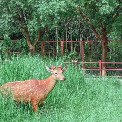 2026网络最火背景图片与头像