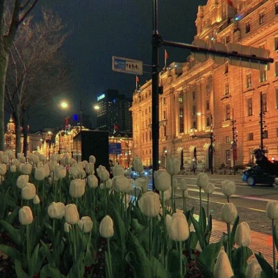 2026网络最火背景图片与头像