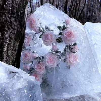 2026网络最火背景图片与头像