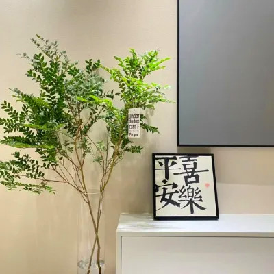 2026网络最火背景图片与头像