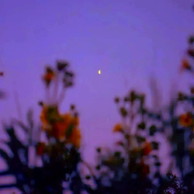 2026网络最火背景图片与头像