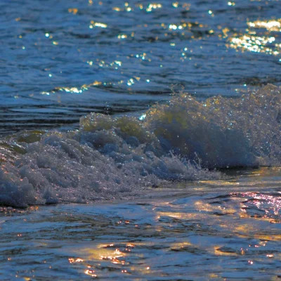 2026网络最火背景图片与头像