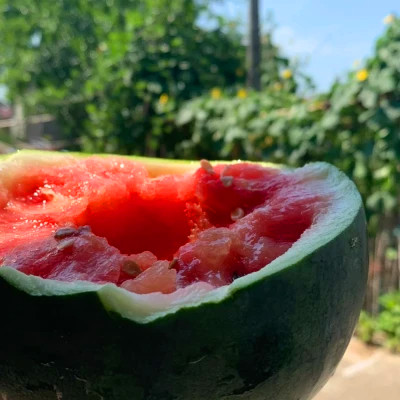 2026网络最火背景图片与头像