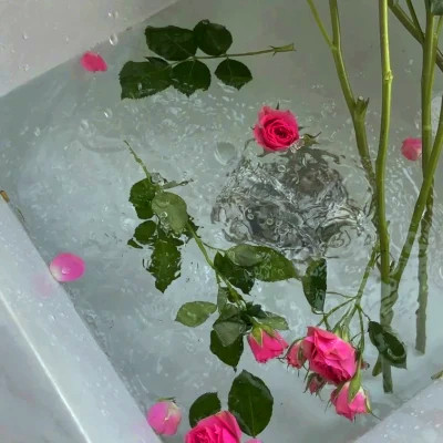 2026网络最火背景图片与头像