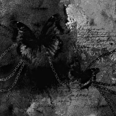 2026网络最火背景图片与头像