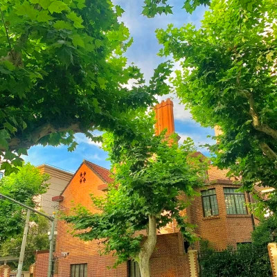 2026网络最火背景图片与头像