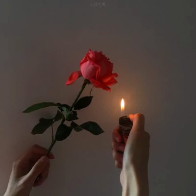 2025最火背景图片女生头像