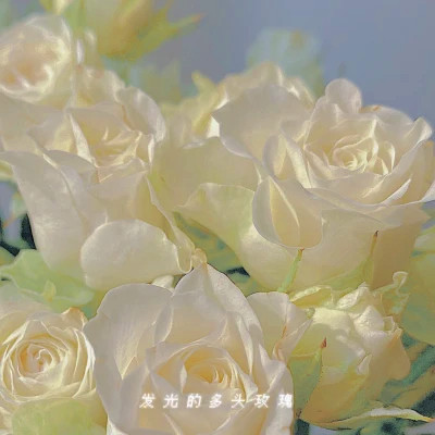 2025最火背景图片女生头像