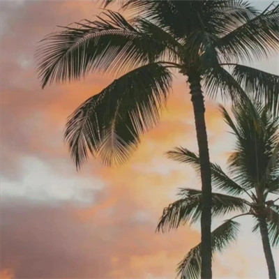 唯美黄昏风景头像