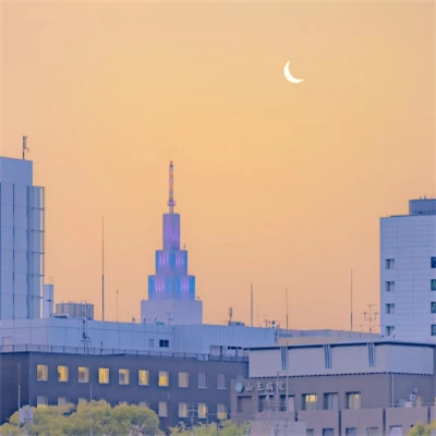 唯美黄昏风景头像