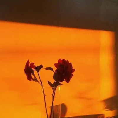 唯美黄昏风景头像