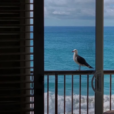 高级蓝色治愈系背景图片头像