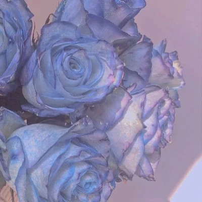 高级蓝色治愈系背景图片头像