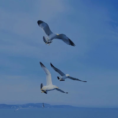 高级蓝色治愈系背景图片头像