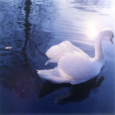 背景图片干净治愈系蓝色头像