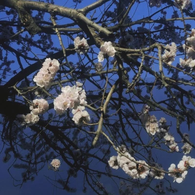 背景图片干净治愈系蓝色头像