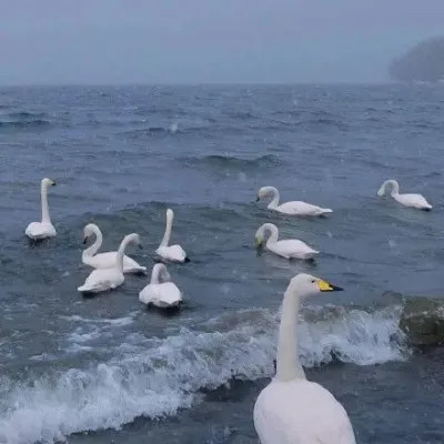 背景图片干净治愈系蓝色头像