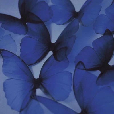 背景图片干净治愈系蓝色头像