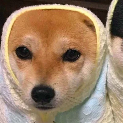 微信超甜超可爱的情头