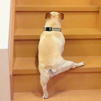傻乎乎可爱搞笑情侣头像