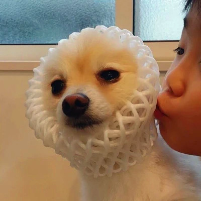 超火稀有好看情侣独一无二头像