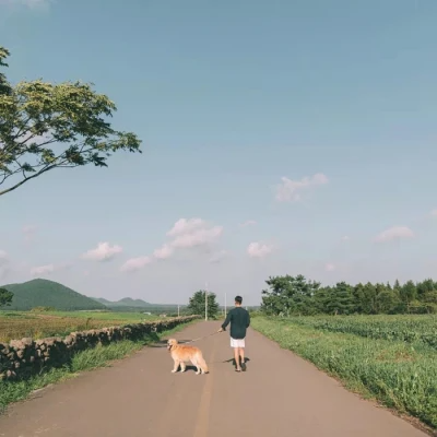 2025年最火的背影情侣头像一男一女