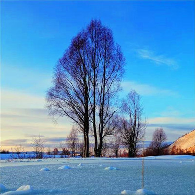 微信山水风景头像