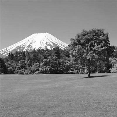 微信黑白山水风景头像