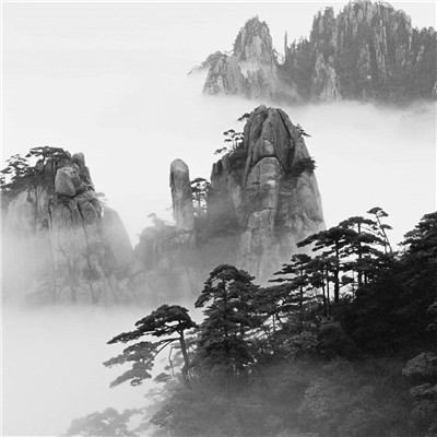 微信黑白山水风景头像